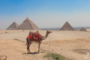 Le Nil en Égypte : L'itinéraire de mon voyage sur le Nil en train #egypte #nil #afrique #train #voyage