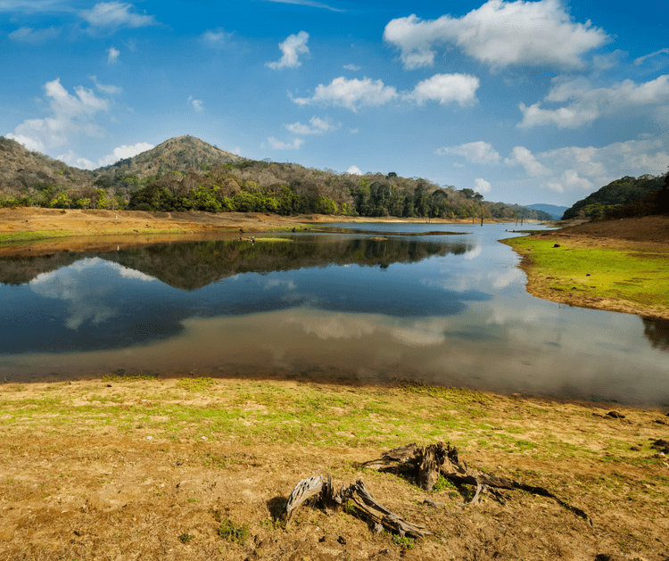 Parc national du Periyar à voir avec les voyageuses du Québec pendant un séjour organisé entre femmes #Inde #Indedusud #voyageentrefemmes #voyage #voyagedegroupe #voyageorganise